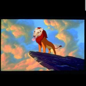 Meet your Posher, Elisa